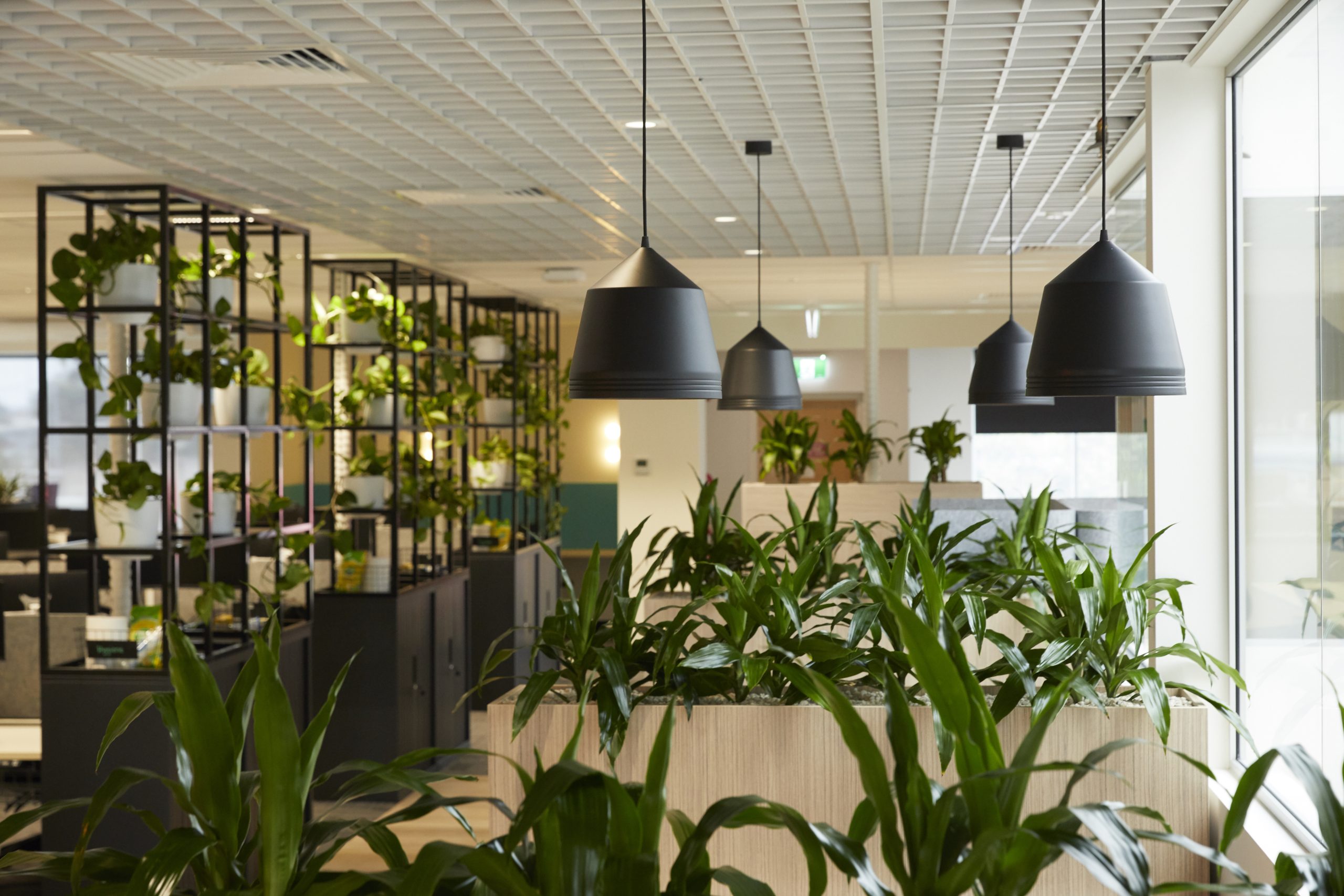 Spaces that care for pets and people