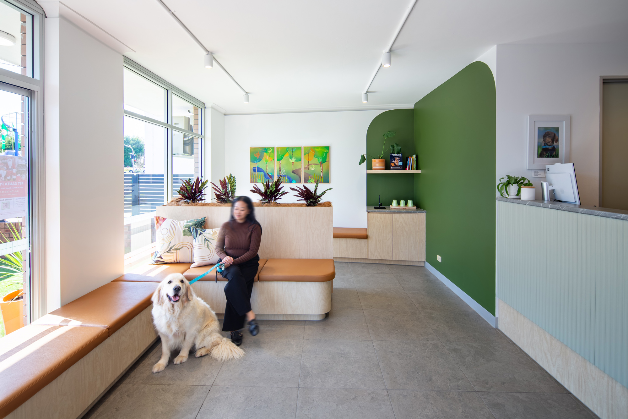 Parkes Street Vet