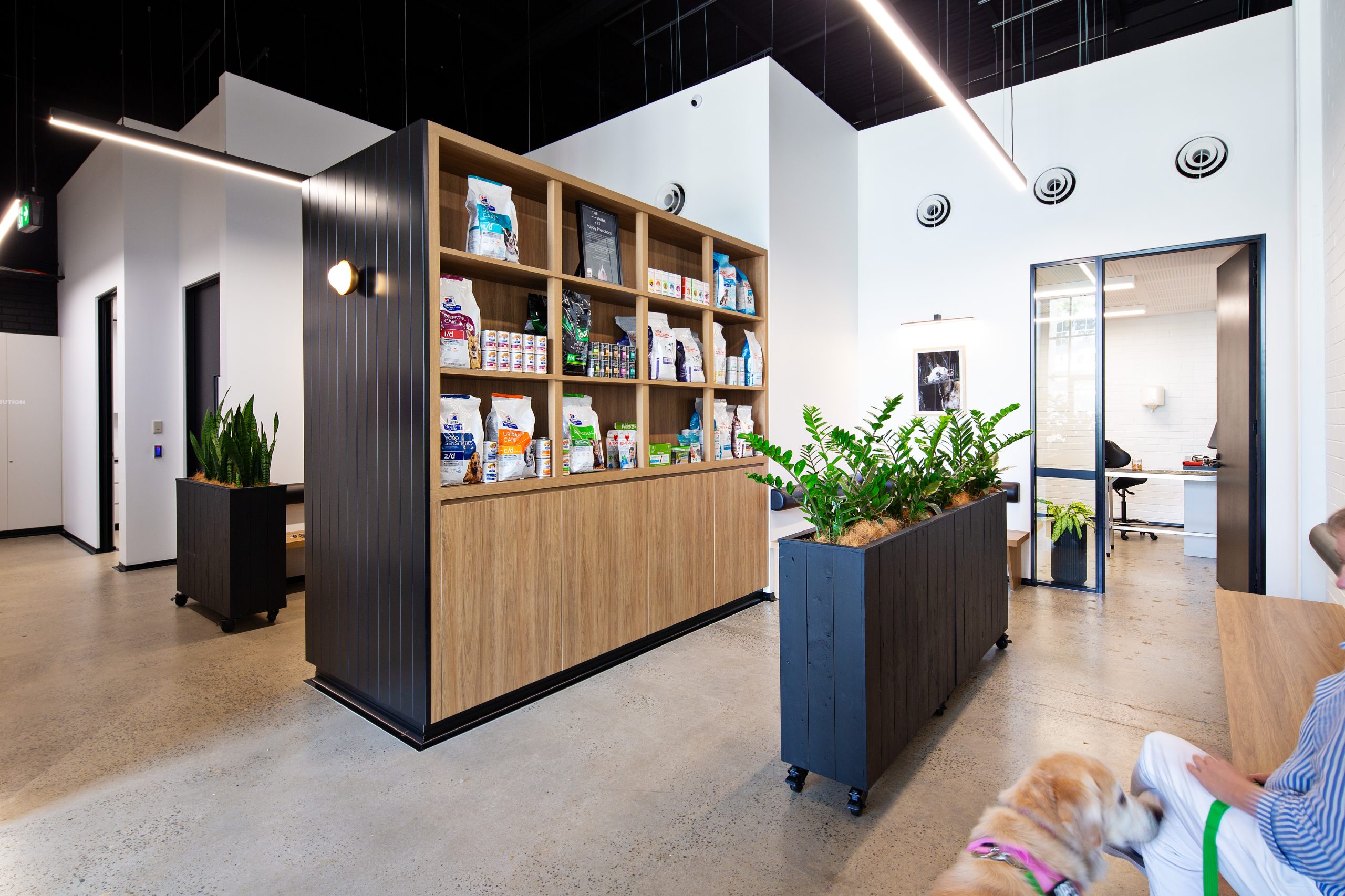 Life’s essentials – Where veterinary clinic design meets science