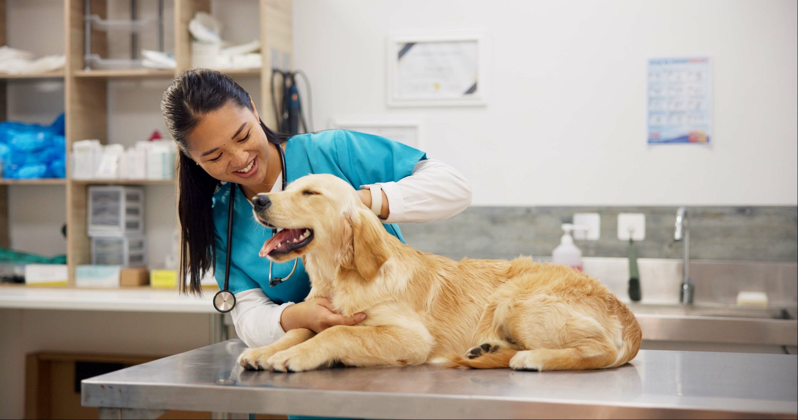 Health matters – Movement, mind and community in your veterinary practice