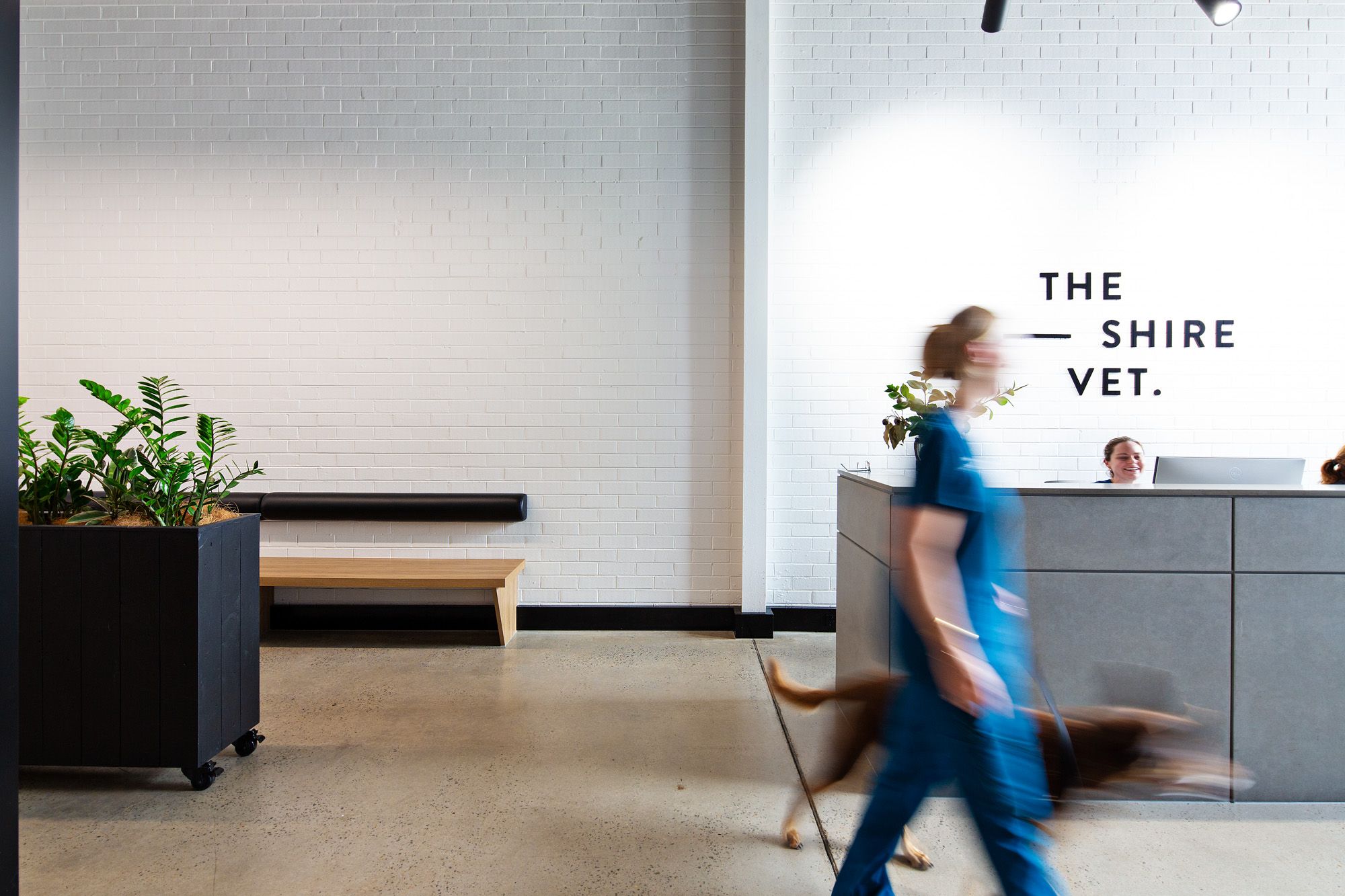 Aligning veterinary practice design with people, pets and purpose