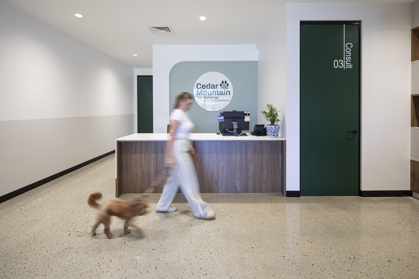 Cedar Mountain Vet Referral