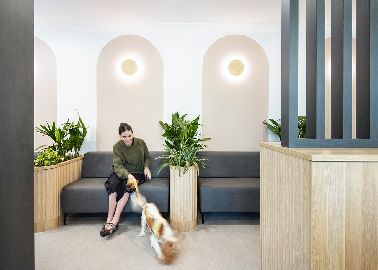 Mount Hutton Vet Hospital